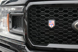 Michoacan Mexico flag car truck black Shield Grill Badge grille mount emblem